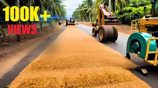 How India Saved Billions by Turning Coconut Waste into Roads  Coconut Waste Products [upl. by Ermey]