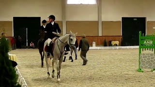 Potęga skoku w damskim siodle  Sidesaddle jump in Janow Podlaski [upl. by Ybab]