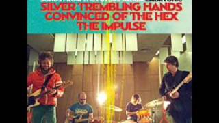 Flaming Lips silver trembling hands [upl. by Netaf]