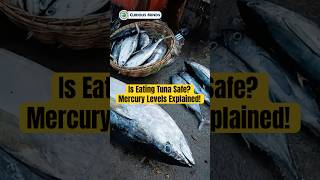 Is Eating Tuna Safe Mercury Levels Explained curiousmindsvn tuna fish [upl. by Zenas300]