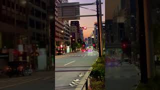 tokyo traffic lights japan [upl. by Nerti]