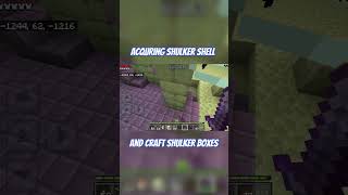 Minecraft Shulker Boxes [upl. by Assenal]