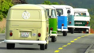 Classic VW Bus Jubilee Convoy  75 Volkswagen Campervan Transporter Kombi  VW Type 2 T1 VW T2 [upl. by Farhi460]