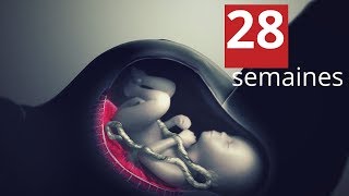 Bébé à 28 semaines de grossesse [upl. by Yzzik]