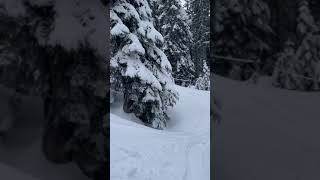 Riding Steepest Run On Cypress Mountain [upl. by Castara]