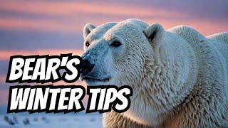 What Polar Bears Know About Surviving Extreme Arctic Conditions [upl. by Leaffar]