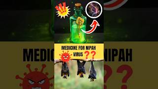 🤯🦠nipahvirus nipah virus disease vaccine kerala shortfeed tamil medicine government 100k [upl. by Kass]