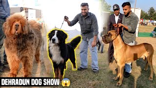 Biggest Dog Show in Uttarakhand  Dehradun Dog Show 2023😱 [upl. by Alilak]