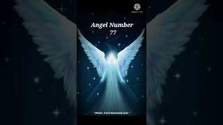 Angel Number 77 Message for you  shorts viral [upl. by Aurilia]