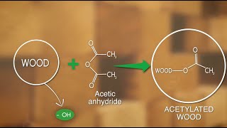 Building Science What is Accoya Wood  Episode 1 [upl. by Duong]