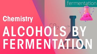 Making Alcohols By Fermentation amp From Ethane  Organic Chemistry  Chemistry  FuseSchool [upl. by Eciram]