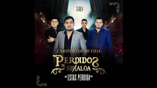 Perdidos de Sinaloa  Cariñito De Mi Vida Audio [upl. by Flanagan341]