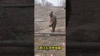 Li Jin high power electric sawchainsaws hardware tools viralvideo foryou [upl. by Teri]