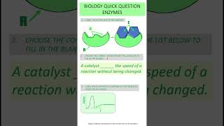 Quick Question  Biology  ENZYMES  GCSE Science Revision [upl. by Dugas]