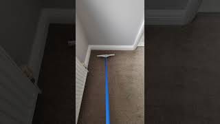 Todays raking session 🤪carpetraking asmr bliss satisfying carpetcleaning youtube [upl. by Ajnotal666]