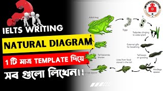 ielts writing task 1 Natural Diagram class bangla।।ielts class banglay bd [upl. by Platas801]