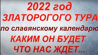 2022  год какого животного по славянскому календарю Каким будет 2022 год Что нас ждет [upl. by Lanna552]