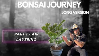 TRANSFORMING SHISHIGASHIRA Japanese Maple Into A Bonsai Part 1AIR LAYERING [upl. by Grimbald]