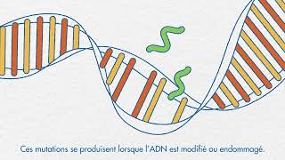 Génétique et cancer de la prostate 7 [upl. by Ennaegroeg139]