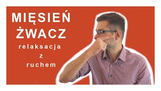 Relaksacja z ruchem  mięsień żwacz [upl. by Cotterell876]