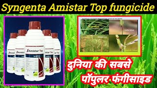 Amistar Top fungicide Syngenta  Azoxystrobin182Difenconazole11 4SC Amistar top price dose [upl. by Arhat]