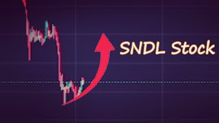 SNDL Stock News Today and Its Price [upl. by Husain]