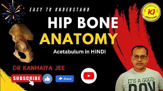 Hip bone anatomyAcetabulum of hip bonebone of lower limb anatomyAnatomySimplifiedhip [upl. by Uttasta]