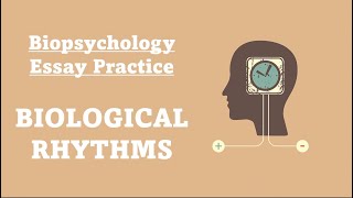 ESSAY PRACTICE Biological Rhythms [upl. by Laurene]