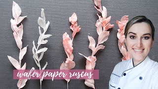 Blush Dried Italian Ruscus  Wafer Paper Tutorial  Florea Cakes [upl. by Lladnarc]