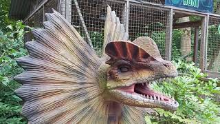 Gullivers World Warrington Theme Park Lancashire Dilophosaurus Jurassic Park [upl. by Wunder777]