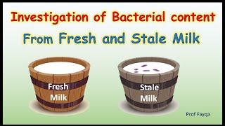 How To Investigate Bactrial Content in Fresh and Stale Milk Using Methylene Blue [upl. by Courcy]