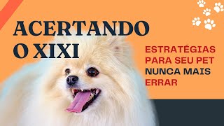 5 PASSOS práticos para o Spitz Alemão acertar o xixi [upl. by Reivilo]