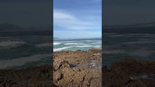 Hermanus beach in South Africa شاطئ هيرمانوس في جنوب أفريقيا 🇿🇦 [upl. by Dieter236]