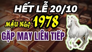 Tử Vi Mậu Ngọ 1978 Hết Ngày Phụ Nữ Việt Nam 2010 May Mắn Ngập Tràn – Đỉnh Cao Phú Quý Đợi Chờ [upl. by Comfort]