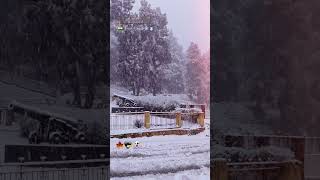 Snow in Dalhousie ☃️🏔️❄️dalhousie manali snow snowfall kullu winter [upl. by Karlik]