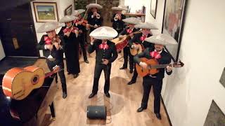 Amigo👨‍👧‍👦Mariachi Veracruz de Cuenca [upl. by Anaic]