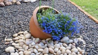 50 Cheap Garden with Stone Designs Stone Garden Ideas Diy [upl. by Roe330]