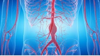 Aortic Aneurysm Definition Causes symptoms and Management II BSC NURSING [upl. by Adelric]