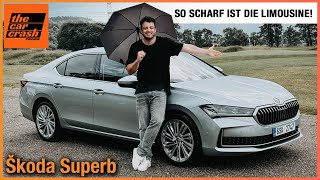 Škoda Superb im Test 2024 So scharf ist die Limousine Fahrbericht  Review  Selection  Preis [upl. by Lavery]