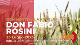 don Fabio Rosini  Commento al Vangelo di domenica 23 Luglio 2023 [upl. by Retla]