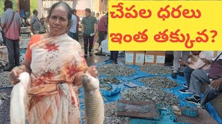 రాంనగర్ చేపల మార్కెట్  ramnagar fish market  Hyderabad [upl. by Allebram]