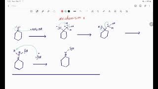 cyclohexanone oxime synthesis mechanism chemicalreaction [upl. by Ellenyl437]