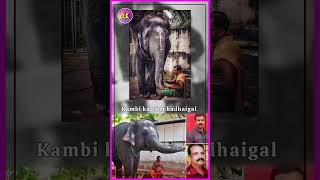 Athayachum kaatula nimmathiya vala vidungada dei😏 kootitu vanthu picha eduka vidranunga 🤦 elephant [upl. by Yancy796]