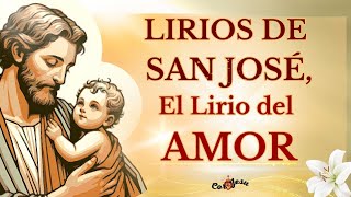 🔴🌱 LIRIOS PERFUMADOS DE SAN JOSÉ  EL LIRIO DEL AMOR DE DIOS🔨❤️ [upl. by Wycoff589]