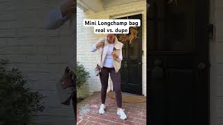 Real Mini Longchamp Bag vs Amazon dupe and which is better [upl. by Aztin]