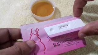 pregnancy test live  গর্ভবতী পরিক্ষা কিভাবে এবং কখন করবেন । Urine Pregnancy test [upl. by Akinod]