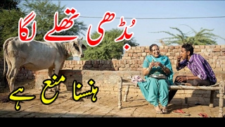 بُڈھی تھلے لگا ا Budhi Thaly Laga ay 4 [upl. by Esnohpla]