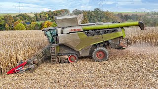 Claas Lexion 8900 mit Geringhoff Horizon Star II bei der Maisernte 2024  Corn Harvest 24 [upl. by Buehrer681]