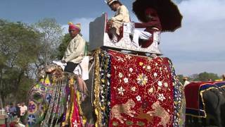 ELEPHANT FESTIVAL INDIA 2011 [upl. by Eiser529]