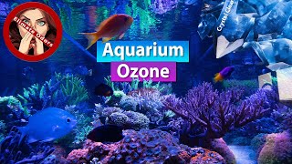 Aquarium Ozone  Smell Remover Crystal Clear water and rid Toxins [upl. by Waddle]